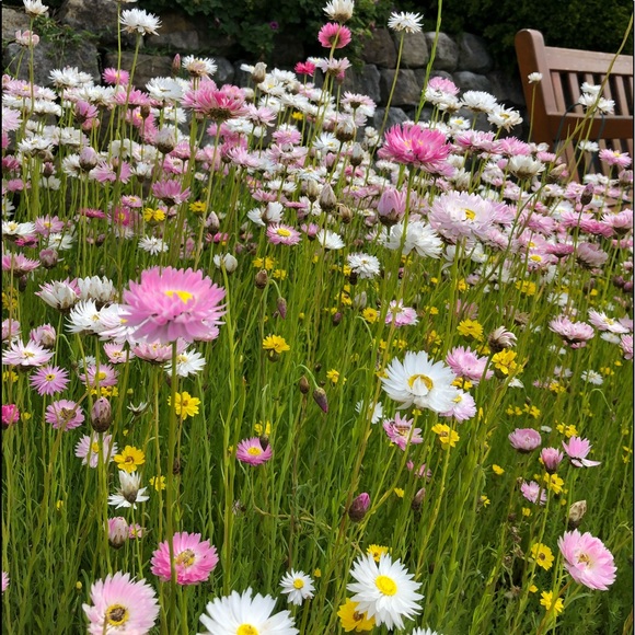 Meet your Posher, Christine - Picture 1 of 1